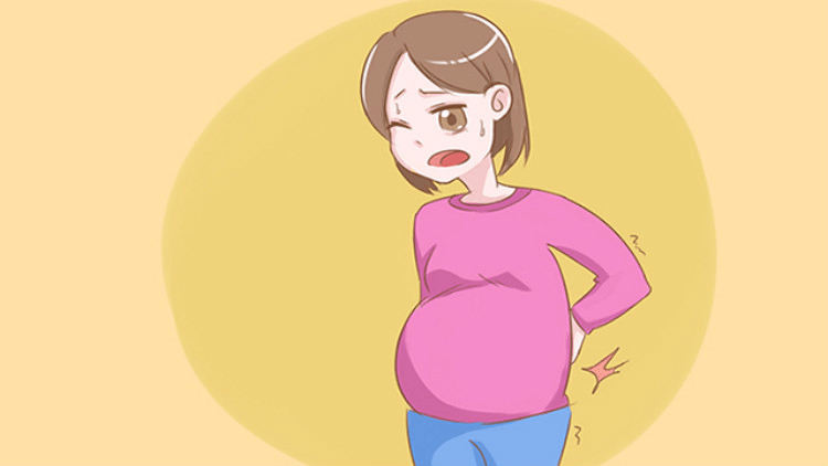 供卵代生包儿子, 广州三代试管费用明细是怎么样的?筛查要多少钱?